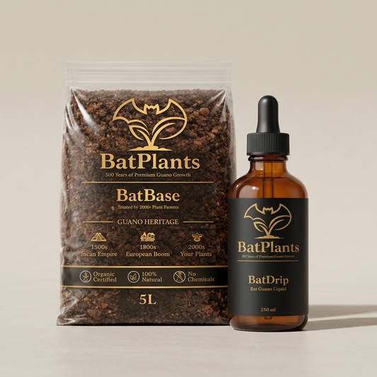 Starter Set — BatBase + BatDrip