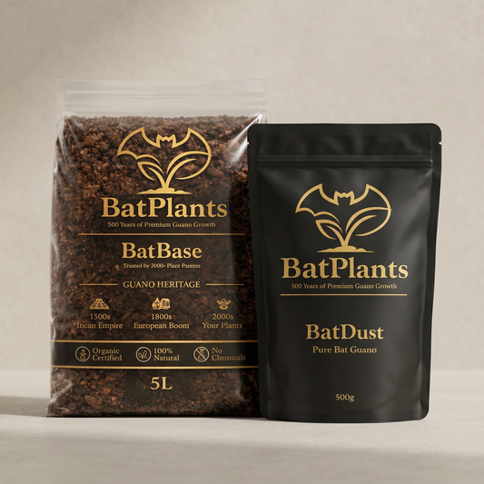 Repot Set — BatBase + BatDust