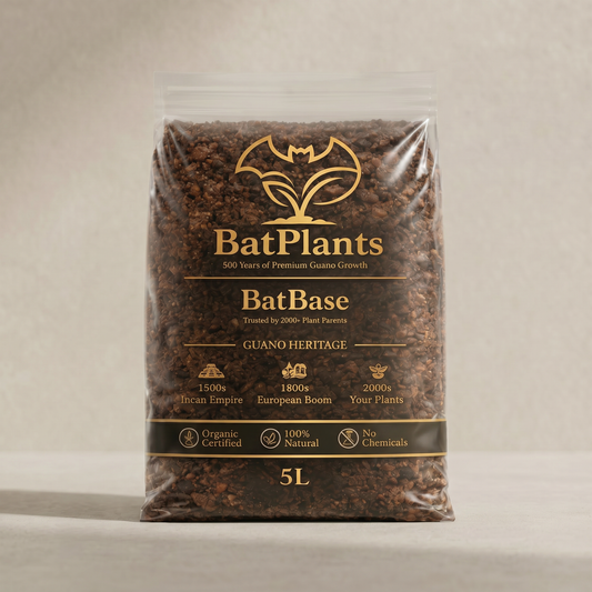 BatBase — Premium Bat Guano Potgrond